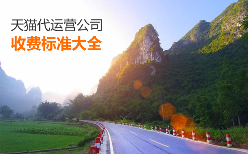 天貓代運(yùn)營(yíng)公司的收費(fèi)標(biāo)準(zhǔn)大全